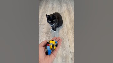 😺beads 🌈reverse video Amsr #reverse #amsr