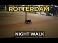 Rotterdam After Dark - Calming Evening Walk with My Dog 4K Ultra HD