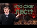 Почему горит лес? // Василий Мельниченко