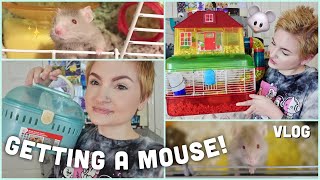 ✨HUGE PET MOUSE VLOG🐭✨