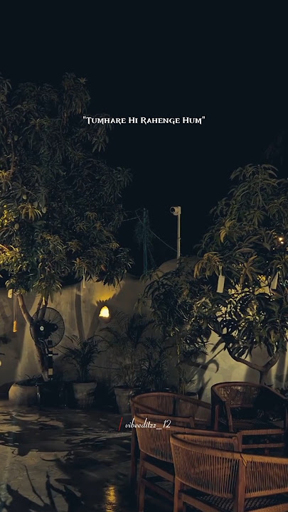 Tumhare Hi Rahenge Hum 💗 |  Stree 2 | Shraddha Kapoor, Rajkummar Rao | #love #bollywoodsongs