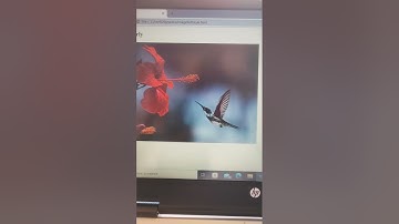 fade in overlay on image in css😎💻