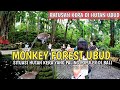 MONKEY FOREST UBUD BALI | SITUASI BALI SAAT INI