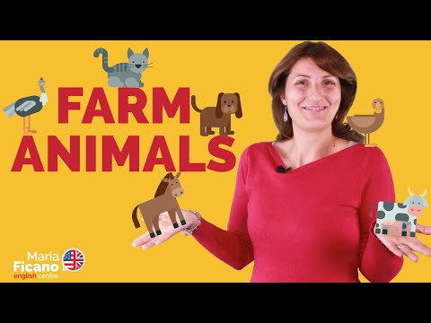 Video: La fattoria dei bambini esegue test sugli animali?