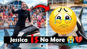 jessica radcliffe video | jessica radcliffe orca attack |Jessica Radcliffe Video | jessica radcliffe