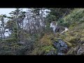 Stone sheep hunting British Columbia