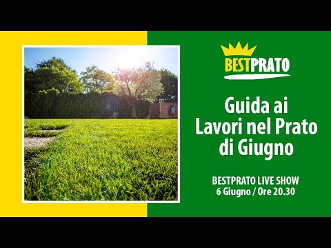 Video: Giardinaggio di giugno: cosa fare nella regione centro-meridionale