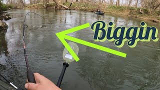 kayak trout fishing float trip