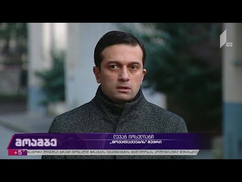 კონსულტაციები ოპოზიციას შორის