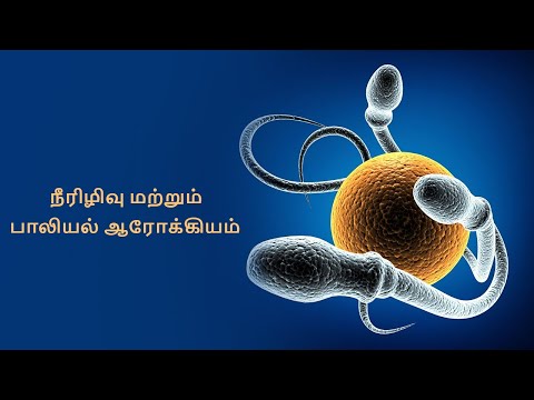 நீரிழிவு மற்றும் பாலியல் ஆரோக்கியம் | Diabetes and Sexual Health | 3D Animation in Tamil (தமிழ்)