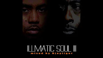 Nas & Pete Rock | Illmatic Soul 3 (Full Album)