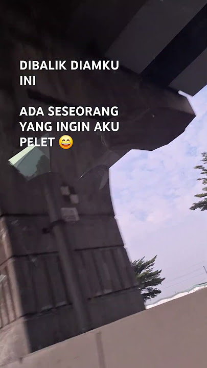 Jaran Goyang 🦭