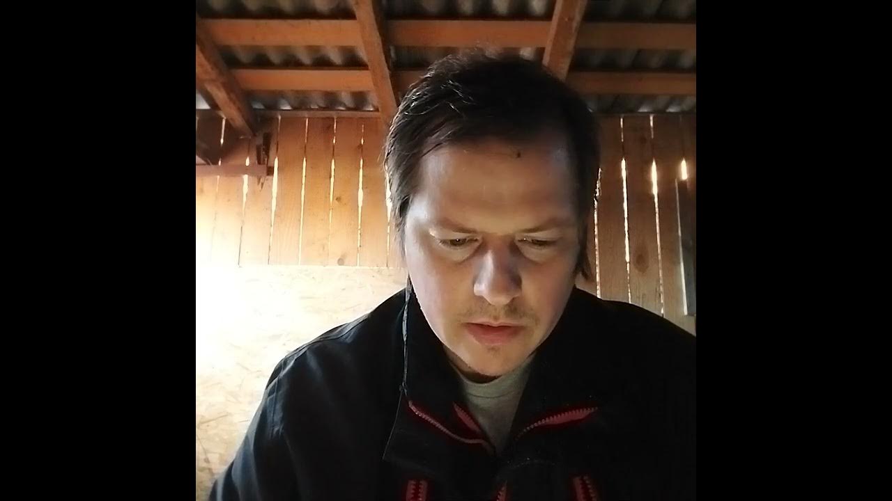 Димка пришел видео. Димка пришел видео