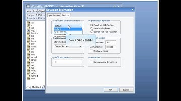 Heckman Selection MLE