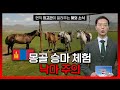 몽골에서 승마 체험 시 낙마 등 안전사고 주의 [해외안전여행정보] / YTN korean