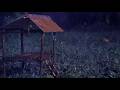Heavy Rain in a Wooden Hut 🌧️ Frog Sounds at Night | Fall Asleep Fast