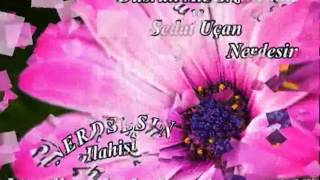 Sav İzindeyiz- Dursun Ali Erzincanli&Sedat Ucan - Nerdesin