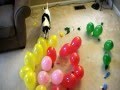 DOG vs. BALLOONS V, SPIRAL OF DEATH