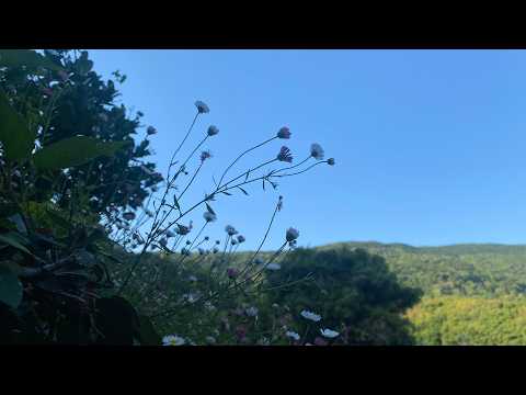 『分からないまま』