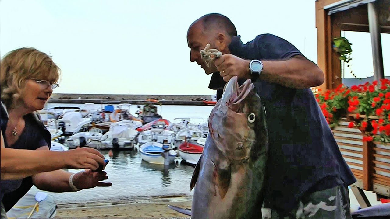 Passaggio All Isola Del Giglio 1 YouTube