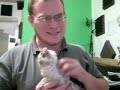 Beginning of video