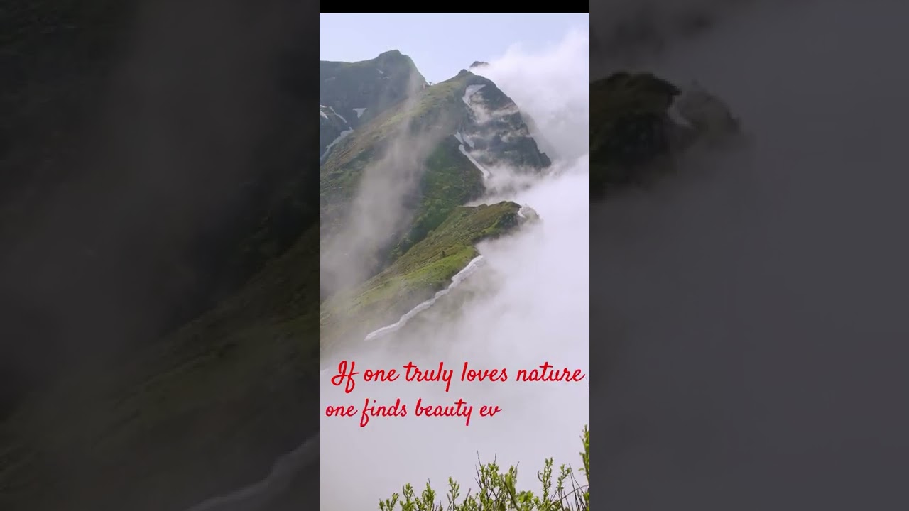 Nature Quotes by Vincent Van Gogh, Beauty ,Love, Nature , Beauty ,Inspirational Nature,