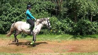 Ando & Gitano 07 juillet 2021 gle