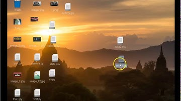 Processing and searching csv or excel file using python in rpi
