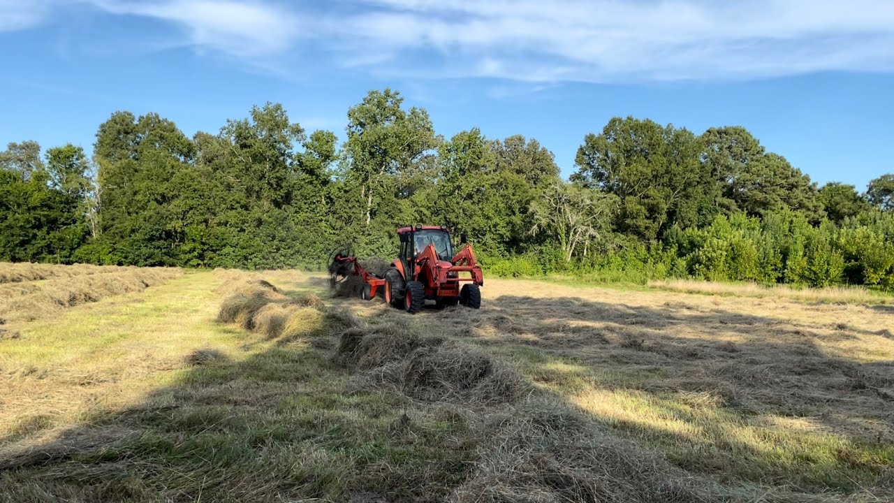 One Man Show in the Hay Field. 