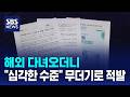 해외 다녀오더니…"심각한 수준" 무더기로 적발 / SBS