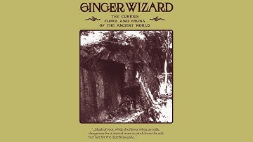 Ginger Wizard - The Curious Flora and Fauna of the Ancient World (Full Album)