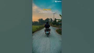 Câu cá tra sông #camr1 #camr2 #camr3 #catrasong #caucatra #câucá