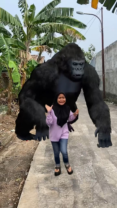 DI KEJAR MONYET BESAR #rocky_05official #shorts