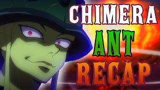 Hunter x Hunter Chimera Ant Arc RECAP