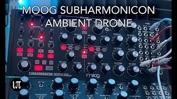 Ambient Semi-self Generating Drone Moog Subharmonicon