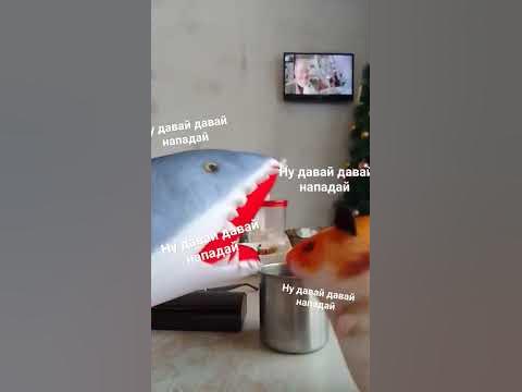 блоп топ - YouTube