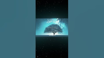 سورة الطور|35-40|القارئ:#محمد_اللحيدان #قران #quran #قران_كريم #تلاوة #تلاوة_هادئة #آية #تلاوة_خاشعة