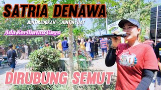 Dirubung Semut (Ribut Guys) Singa Depok Satria Denawa  Live Juntikedokan Juntinyuat