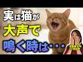 【実は誤解だらけ】猫の鳴き声には意味がある｜鳴き方でわかる本音