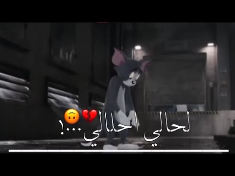 حالات واتساب لحالي احلالي ده كلو رخيص مفيش غالي