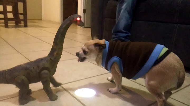 Cuando los reyes magos no te traen lo que pediste