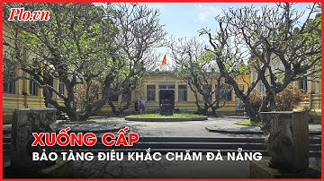 Cận cảnh xuống cấp của Bảo tàng điêu khắc Chăm Đà Nẵng - PLO