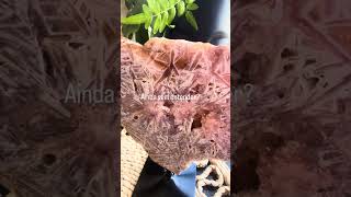 Você consegue ver o que eu vi aqui? 👀 DOIDA POR PEDRAS #crysta #crystals #pedramito #cristais #ener