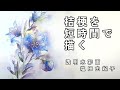 【透明水彩画】桔梗を短時間で描く