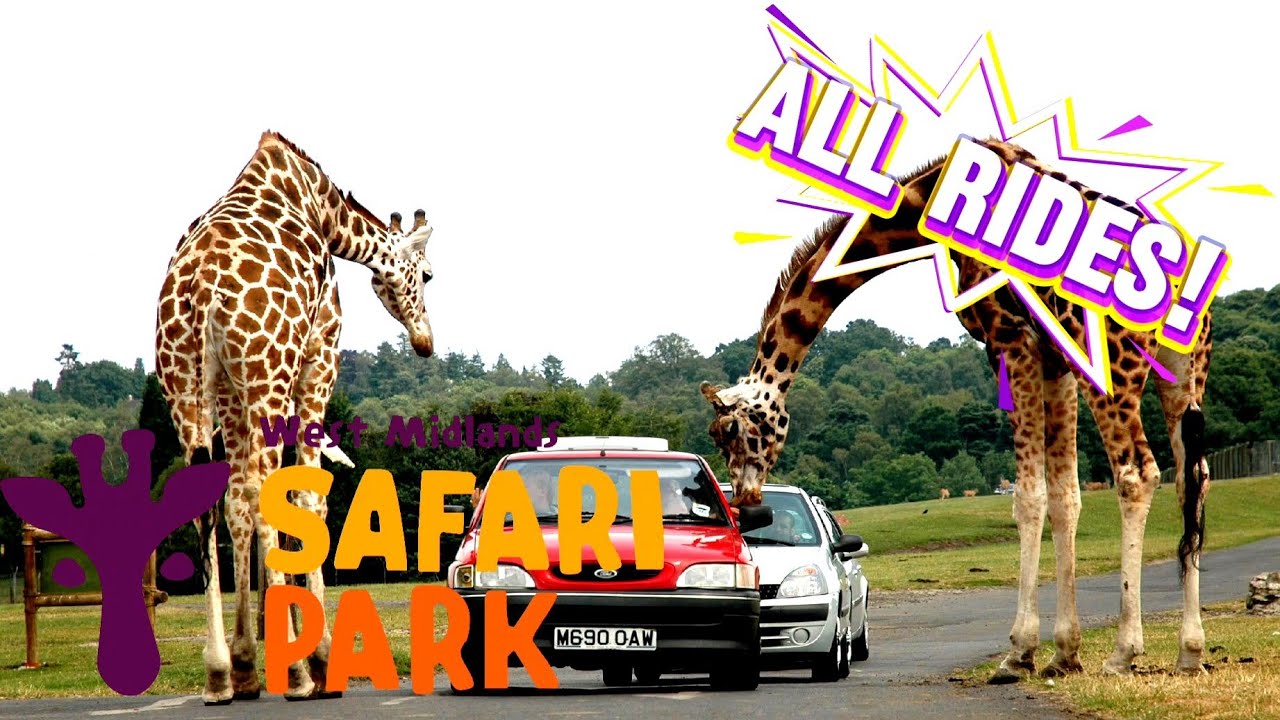 All Rides RANKED! At West Midlands Safari Park!