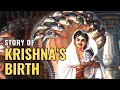 Story of krishnas birth  krishna janmashtami