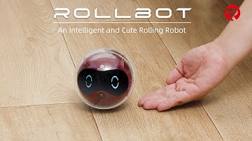 Rollbot - An Intelligent Rolling Robot