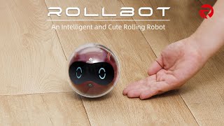 Rollbot - An Intelligent Rolling Robot