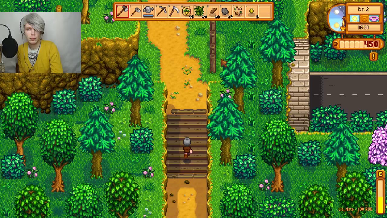 VIDman мамкин Фермер в Stardew Valley