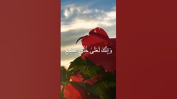 #قرآن #تلاوة_هادئة #تلاوة_خاشعة #tilawat #راحة_نفسية